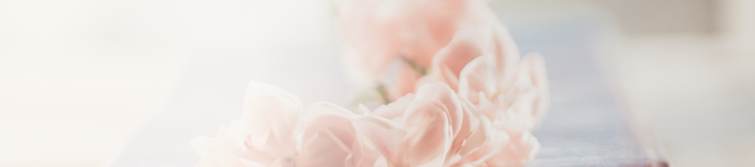 Närbild av mjuka rosa blommor i ett ljust ljus.