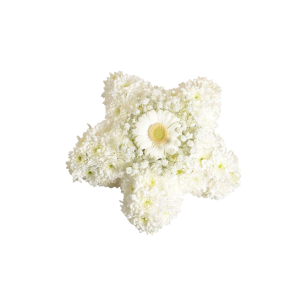 Vit blomsterarrangemang format som en stjärna på en svart bakgrund, med en stor gerbera i mitten omgiven av små blommor.